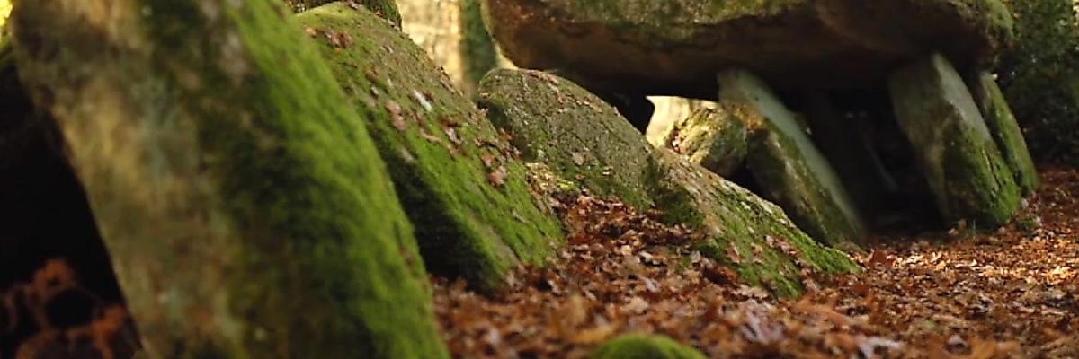 Domaine De La Tranquillite R Apartment Noyal-Muzillac